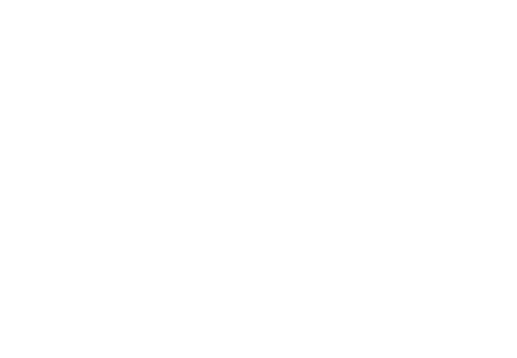 APT Logo